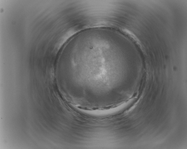 X0000074341457200609152110