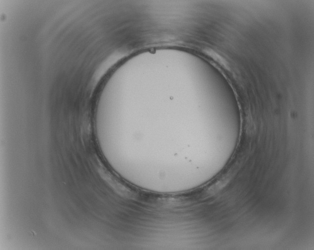 X0000074341458200609152110