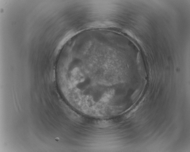 X0000074341459200609152110