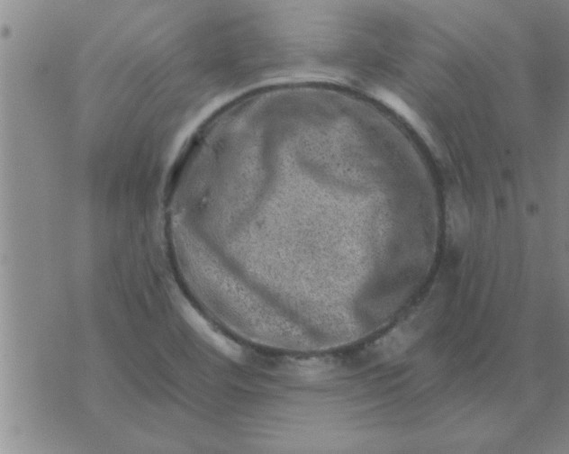 X0000074341460200609152110