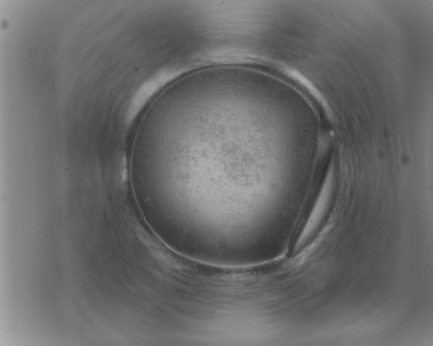 X0000074341461200609152110