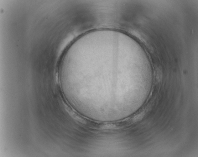 X0000074341462200609152110