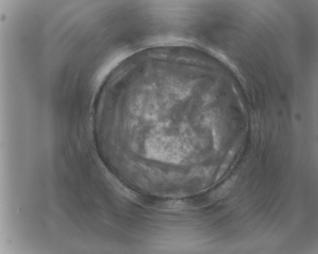 X0000074341463200609152110