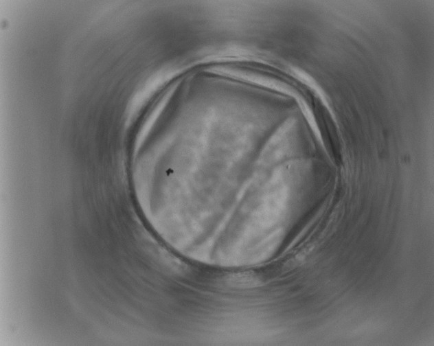 X0000074341464200609152110