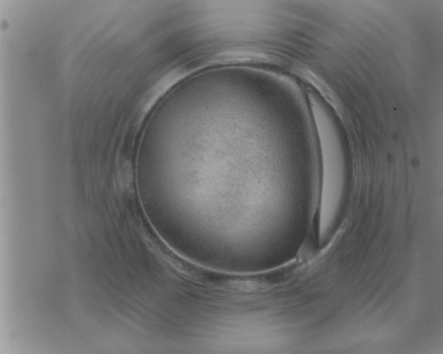 X0000074341465200609152110