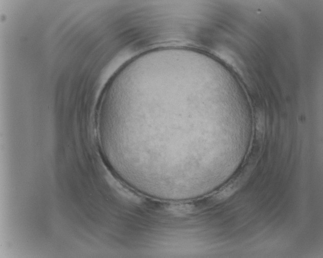 X0000074341466200609152110