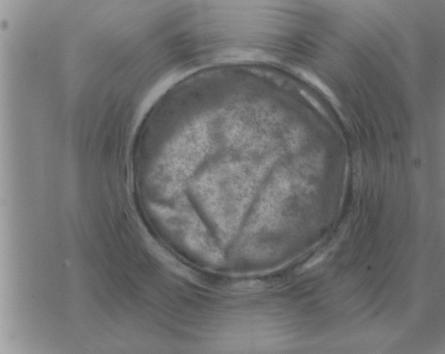 X0000074341467200609152110