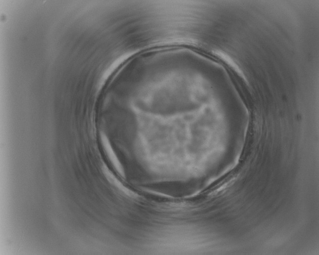 X0000074341468200609152110