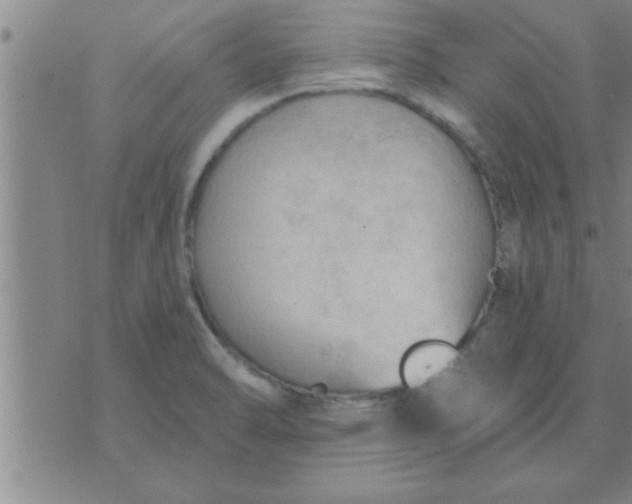 X0000074341470200609152110