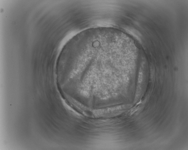 X0000074341471200609152110