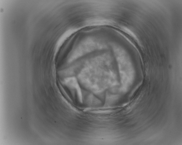 X0000074341472200609152110