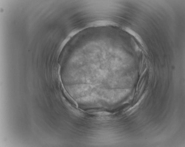 X0000074341473200609152110