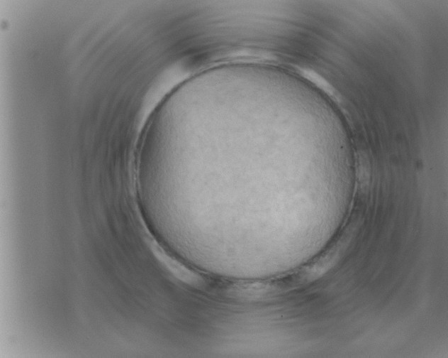 X0000074341474200609152110