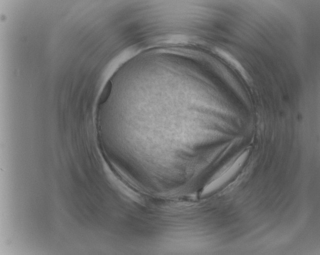 X0000074341475200609152109