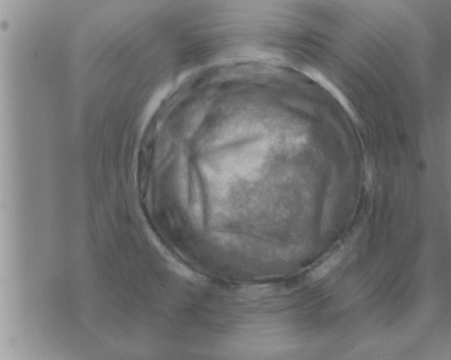 X0000074341477200609152109