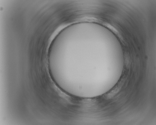 X0000074341478200609152109