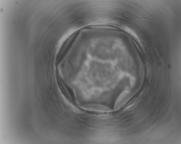 X0000074341480200609152109