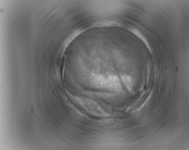 X0000074341481200609152109