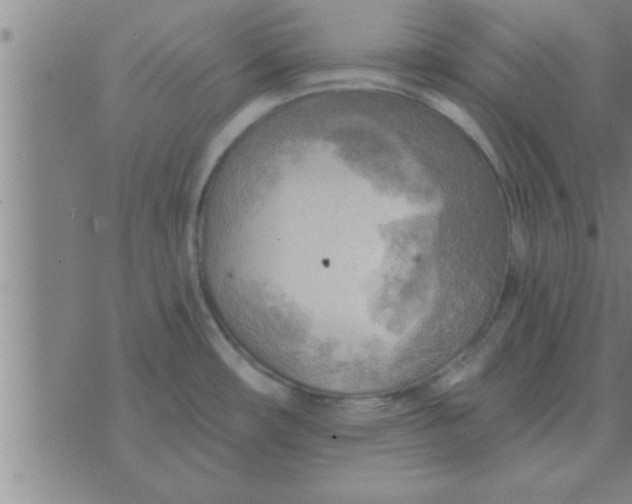 X0000074341482200609152109