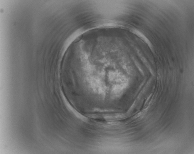 X0000074341483200609152109