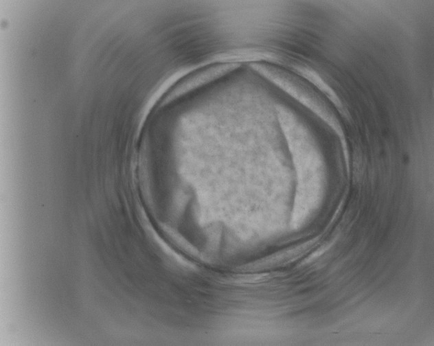 X0000074341484200609152109