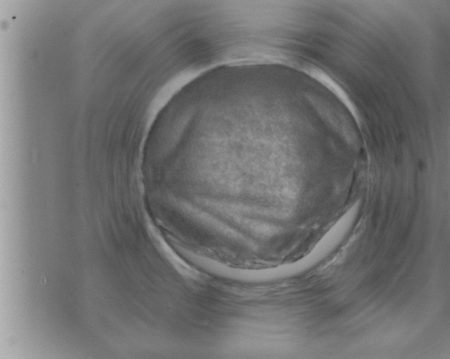 X0000074341485200609152109