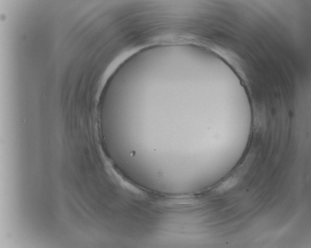 X0000074341486200609152109