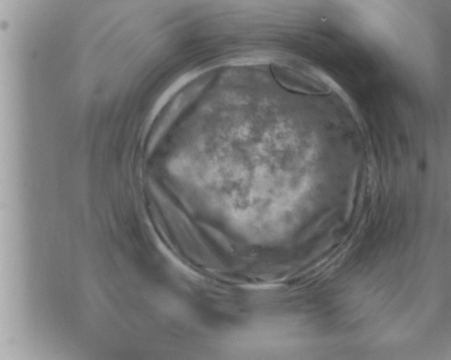 X0000074341487200609152109