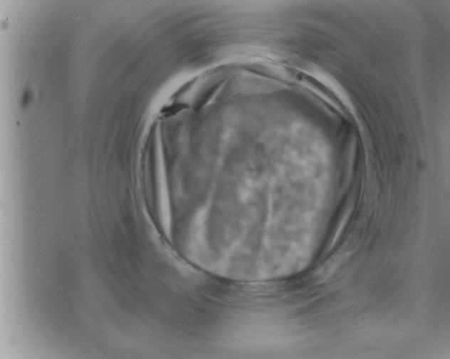 X0000074341488200609152109