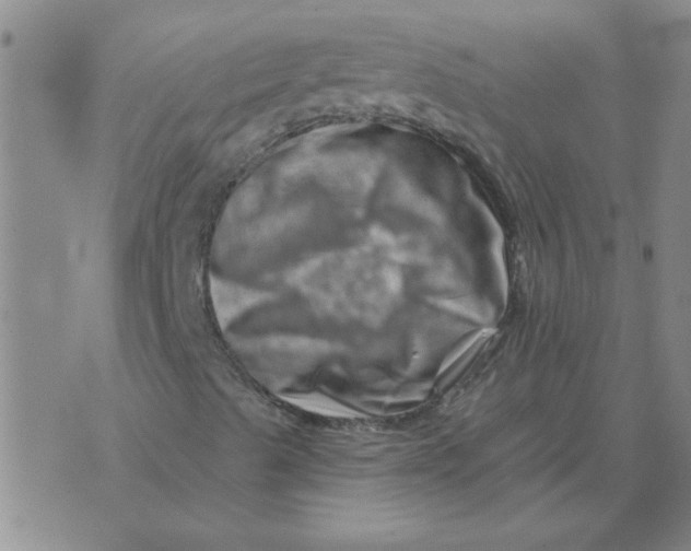 X0000074341489200609152108