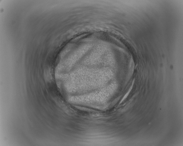 X0000074341490200609152109