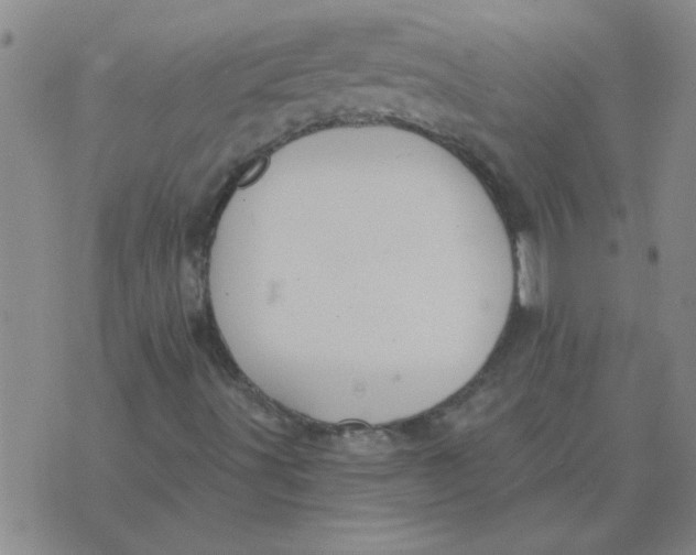 X0000074341491200609152109