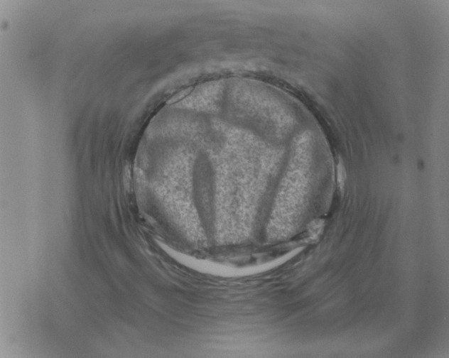 X0000074341492200609152109