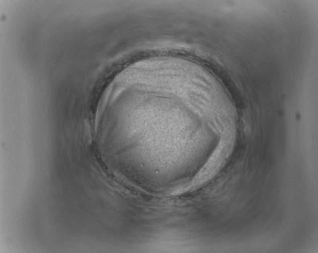 X0000074341493200609152109