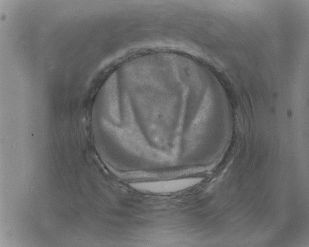 X0000074341494200609152109