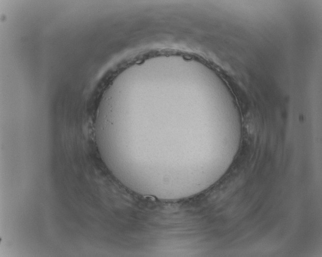 X0000074341495200609152109