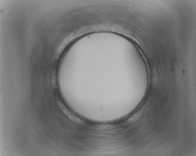 X0000074341499200609152109