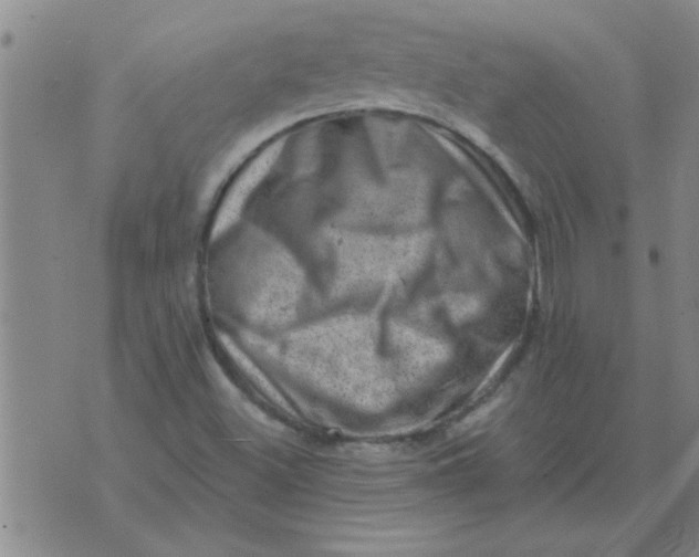 X0000074341500200609152109