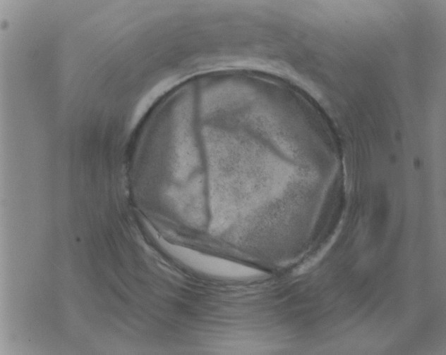 X0000074341501200609152109