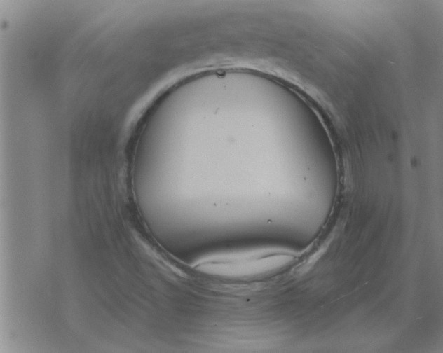 X0000074341502200609152109