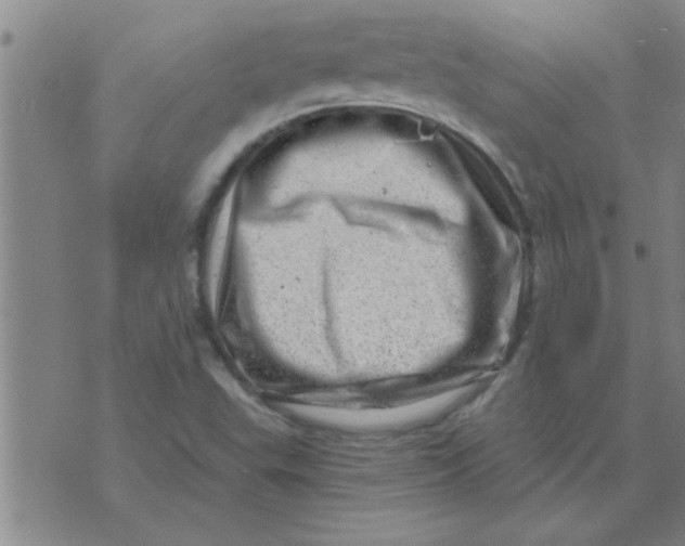 X0000074341503200609152109