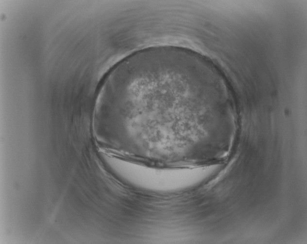 X0000074341505200609152109