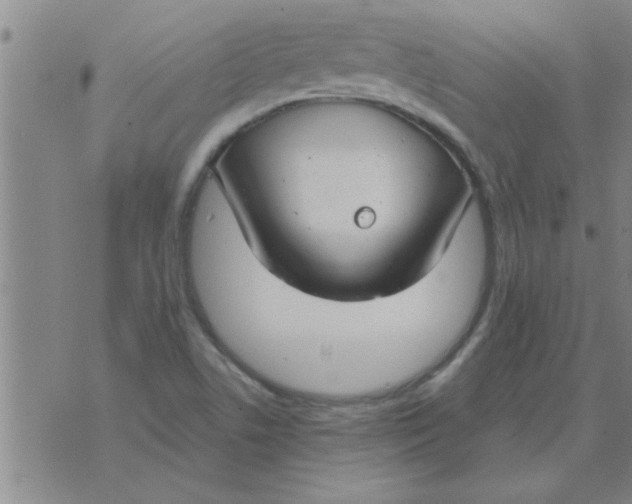 X0000074341506200609152109