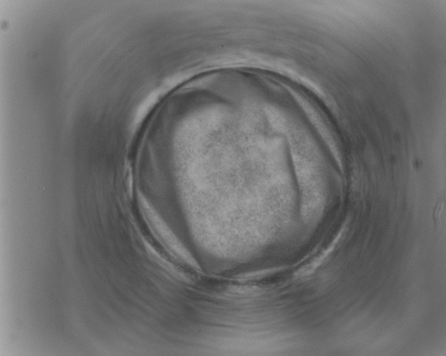 X0000074341509200609152109