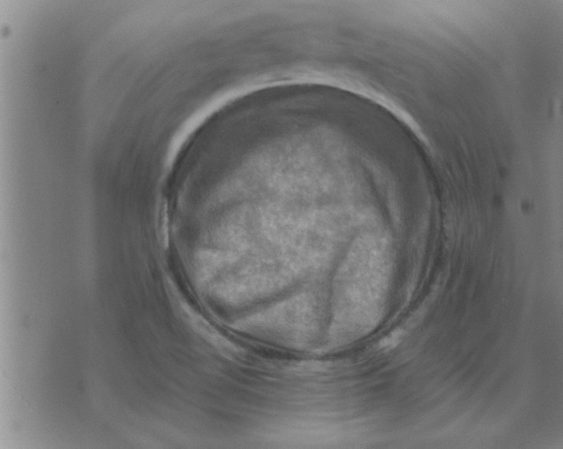 X0000074341510200609152109