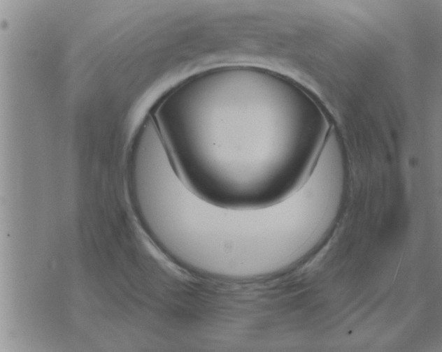 X0000074341511200609152109