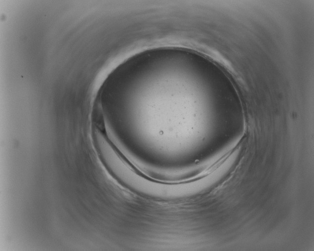 X0000074341512200609152109