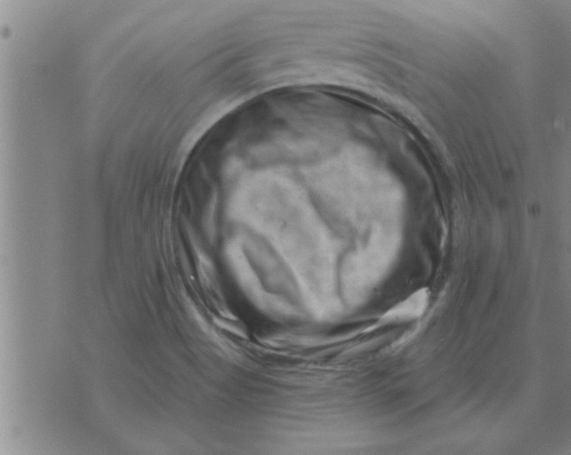 X0000074341513200609152109