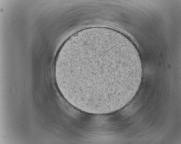 X0000074341514200609152109