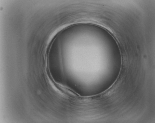 X0000074341515200609152109